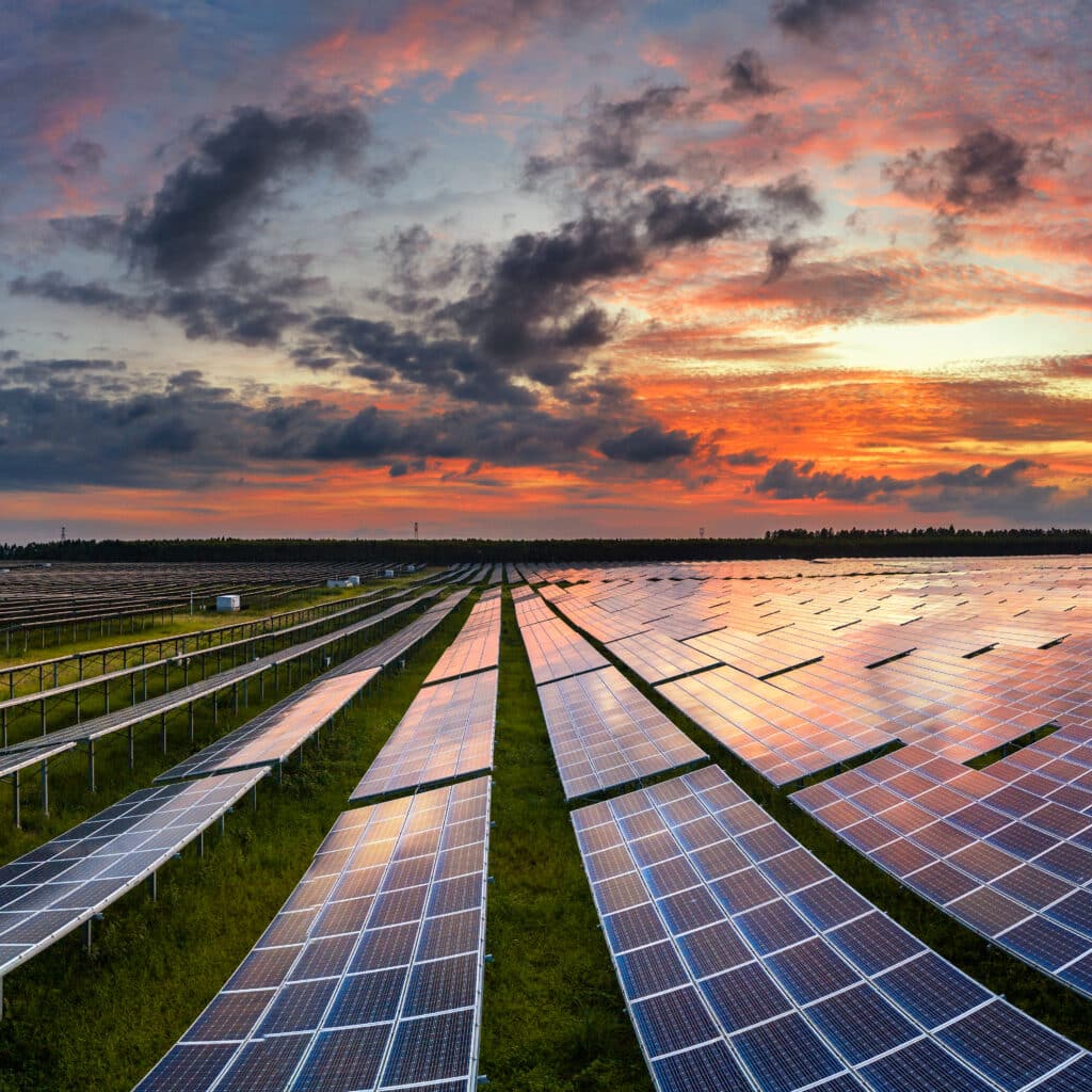 Solar panels in a field at sunset.