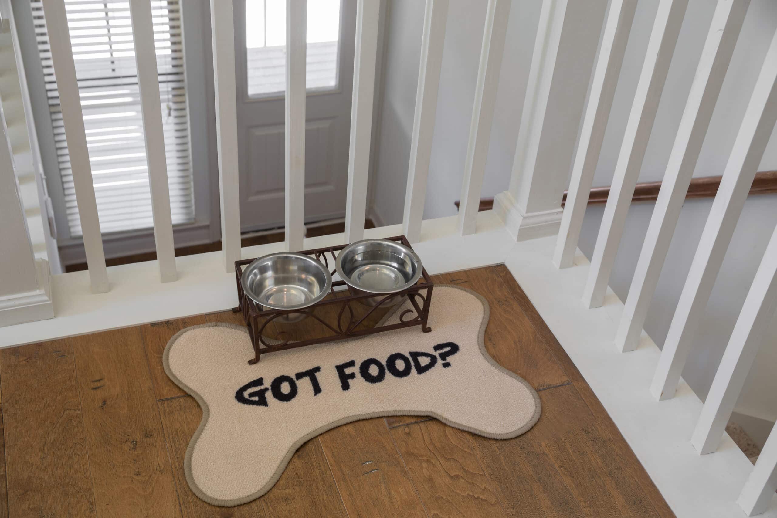 Got food? dog bone stair mat.